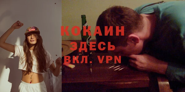 эйфоретик Арсеньев