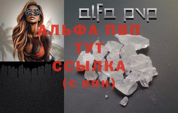 spice Козловка