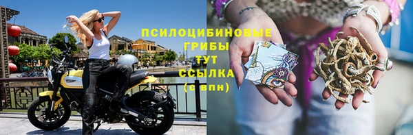 ГАЛЛЮЦИНОГЕННЫЕ ГРИБЫ Аркадак
