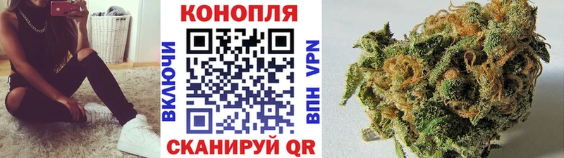 Бошки марихуана конопля  магазин продажи наркотиков  mega tor  Адыгейск 